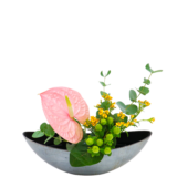 S.プラスONE 切り花S [2025年12月 - 1回目]