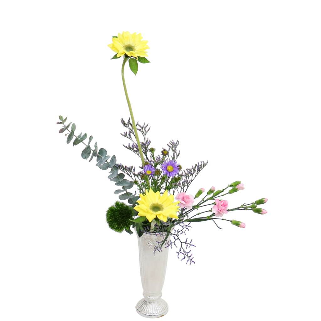 W.花瓶・水盤月2回コース [2025年12月 - 1回目]