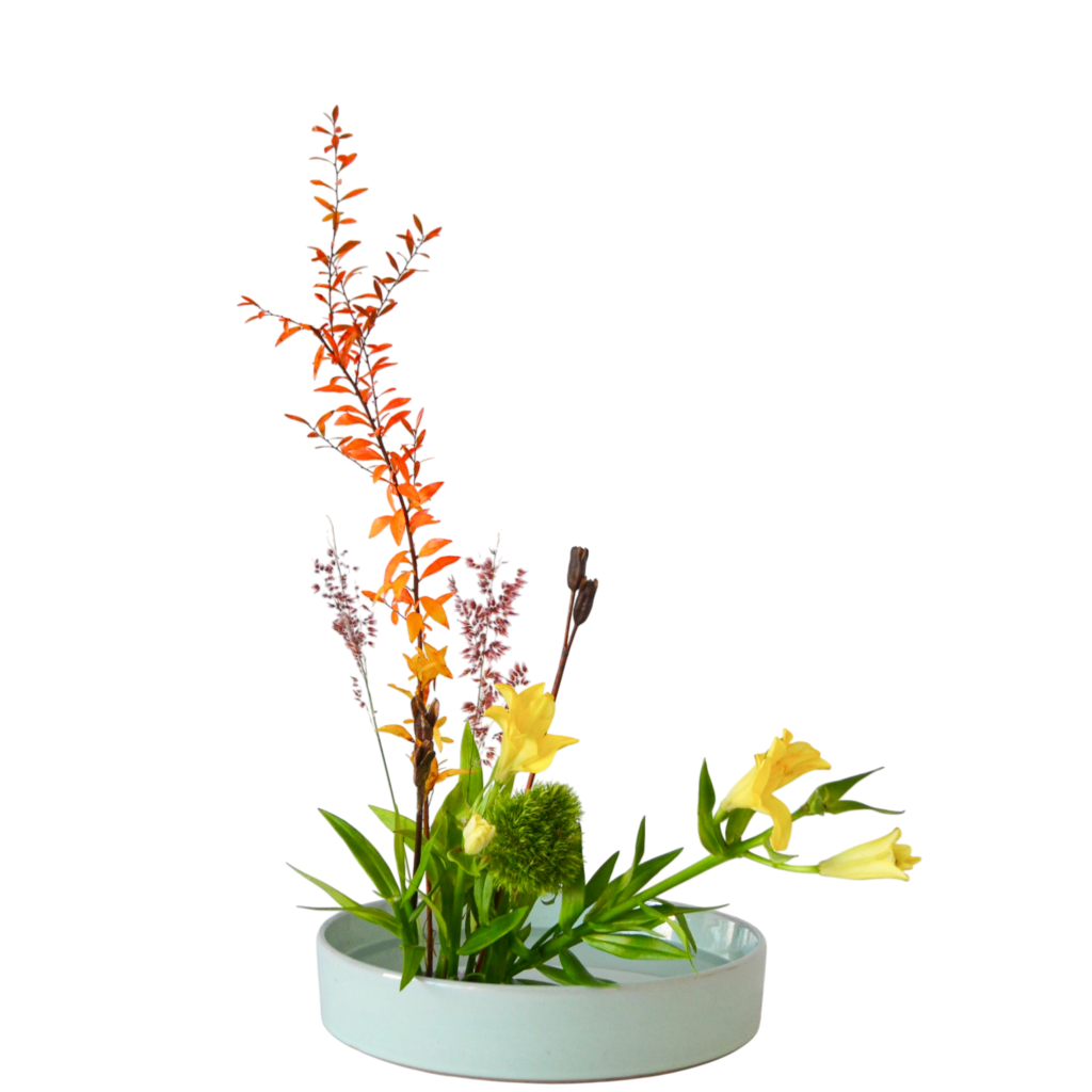 Z.水盤スタンダードコース [2025年12月 - 1回目]