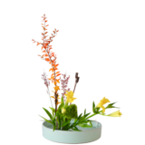 Z.水盤スタンダードコース [2025年12月 - 1回目]