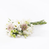 2026年 お供え・仏花・榊（853-1～8）（91~96）