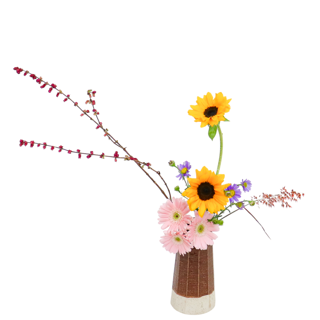 B.花瓶スターターコース [2025年11月 - 3回目]