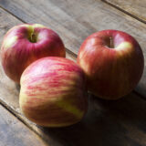 2026年 迎春_さんらいふ生活