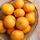 2026年 迎春_さんらいふ生活