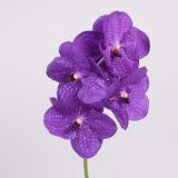 2026年 新年の花（1～85）