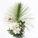 2026年 新年の花（1～85）