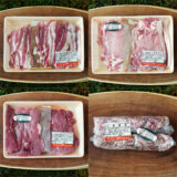 2026年 迎春_さんらいふ生活