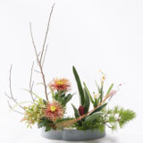 2026年 新年の花（1～85）