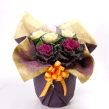 2026年 鉢花・リース・寄せ植え・スワッグ （854-1～854-17）