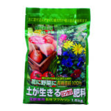 2025_花苗で彩り