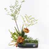 2026年 新年の花（1～85）