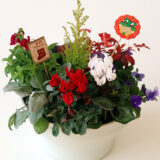 2026年 鉢花・リース・寄せ植え・スワッグ （854-1～854-17）