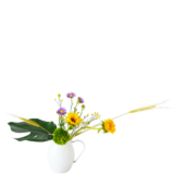 A.花瓶・水盤バラエティーコース [2025年12月 - 2回目]