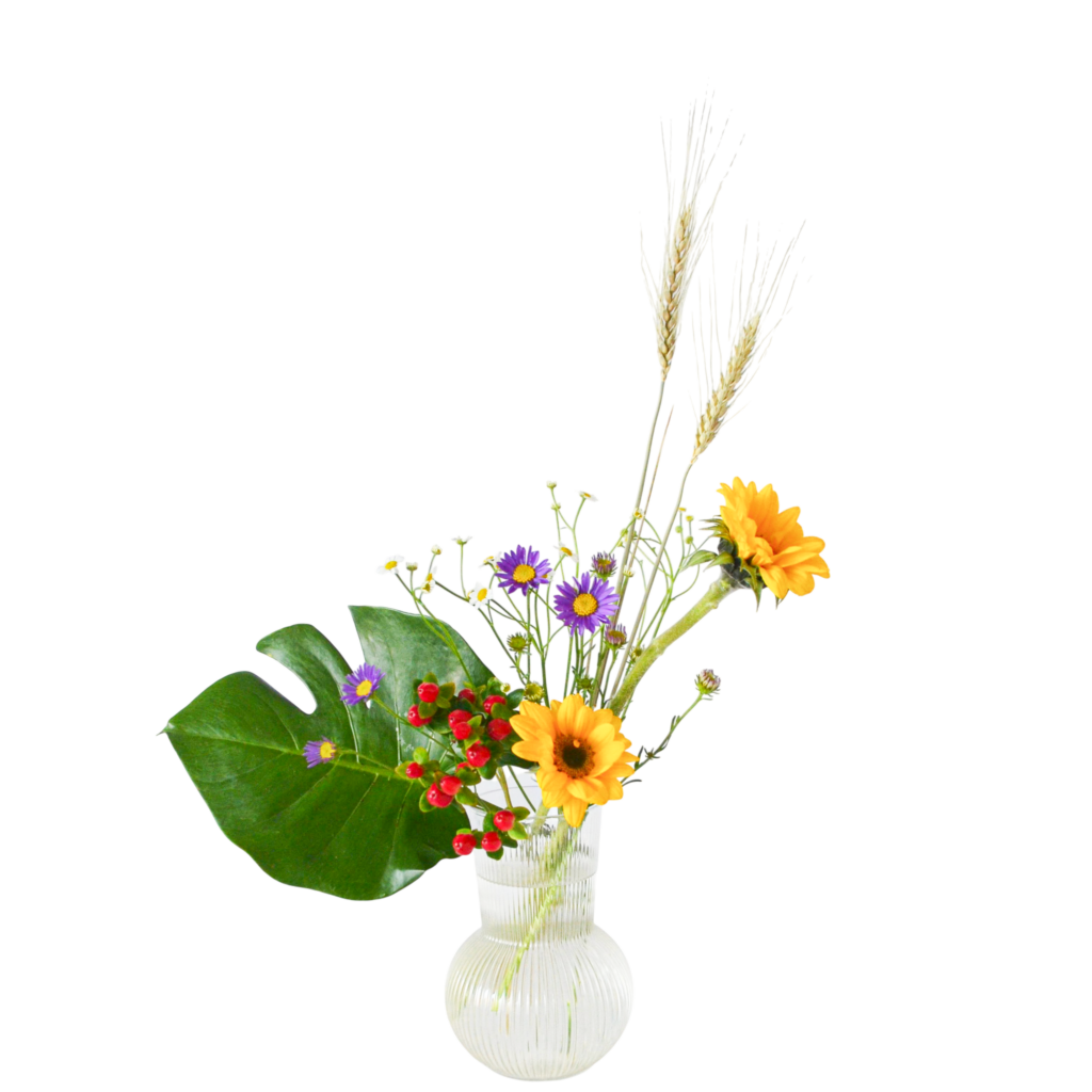 A.花瓶・水盤バラエティーコース [2025年12月 - 2回目]