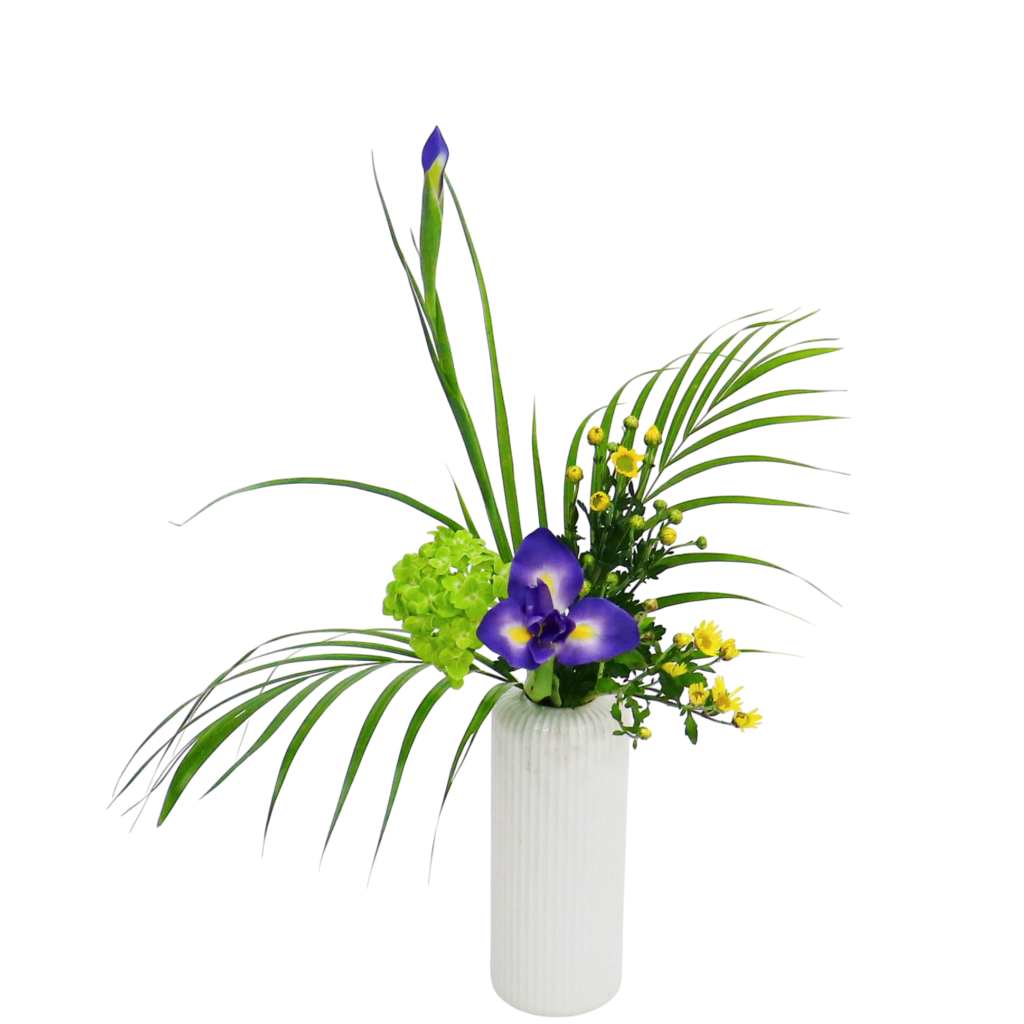 A.花瓶・水盤バラエティーコース [2025年12月 - 2回目]