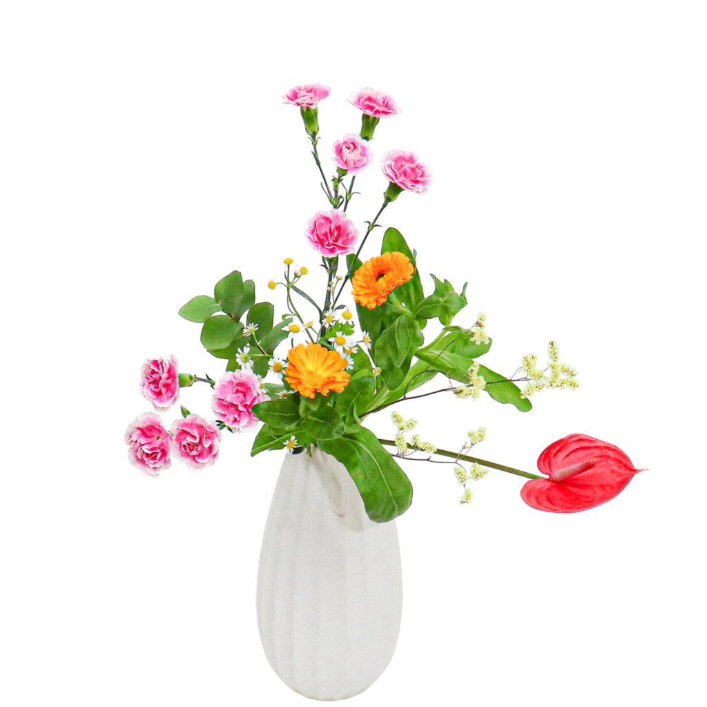 B.花瓶スターターコース [2025年12月 - 2回目]