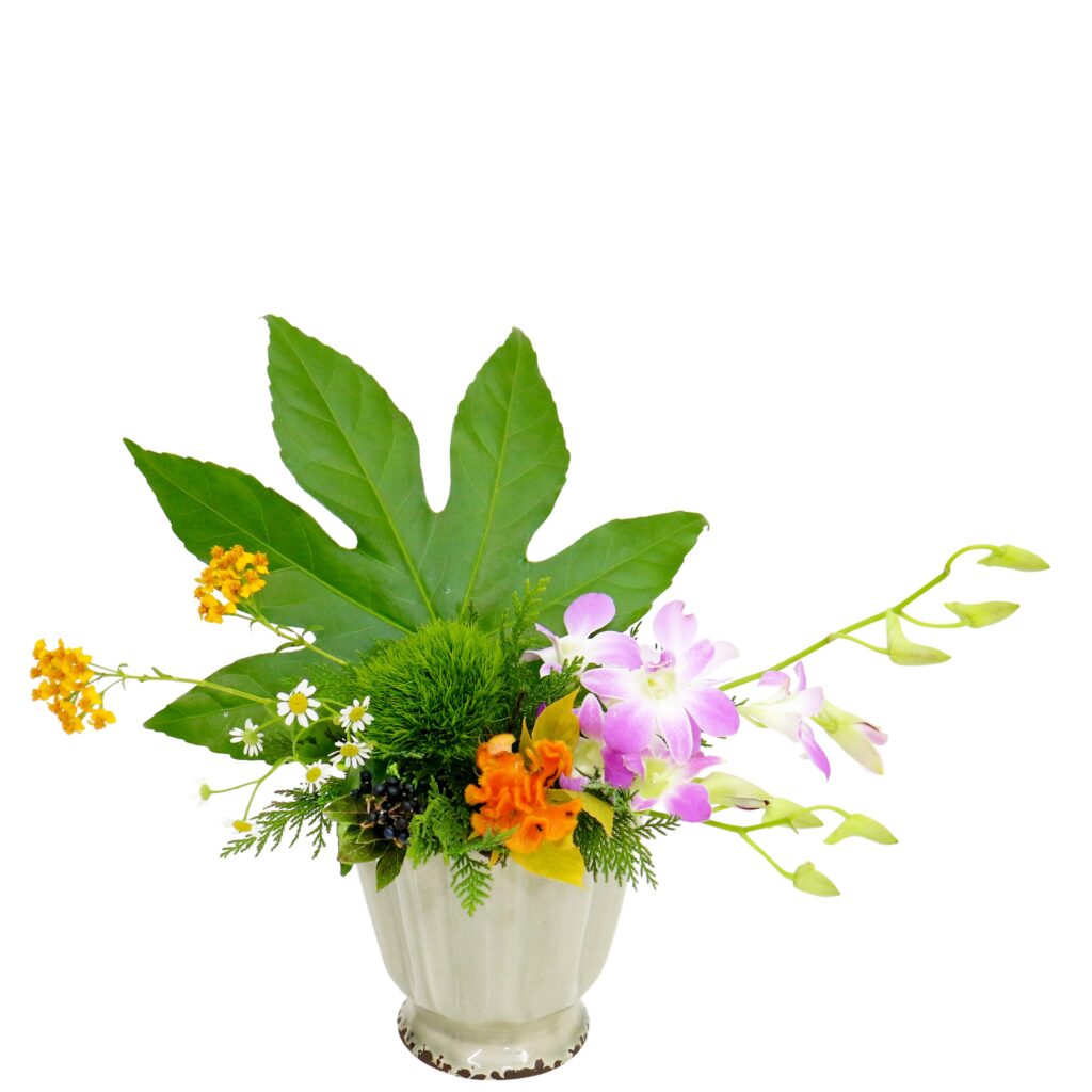 E.アレンジメント花材コース [2025年12月 - 2回目]