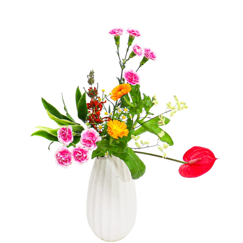 H.花瓶スタータープラスコース [2025年12月 - 2回目]