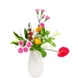 H.花瓶スタータープラスコース [2025年12月 - 2回目]