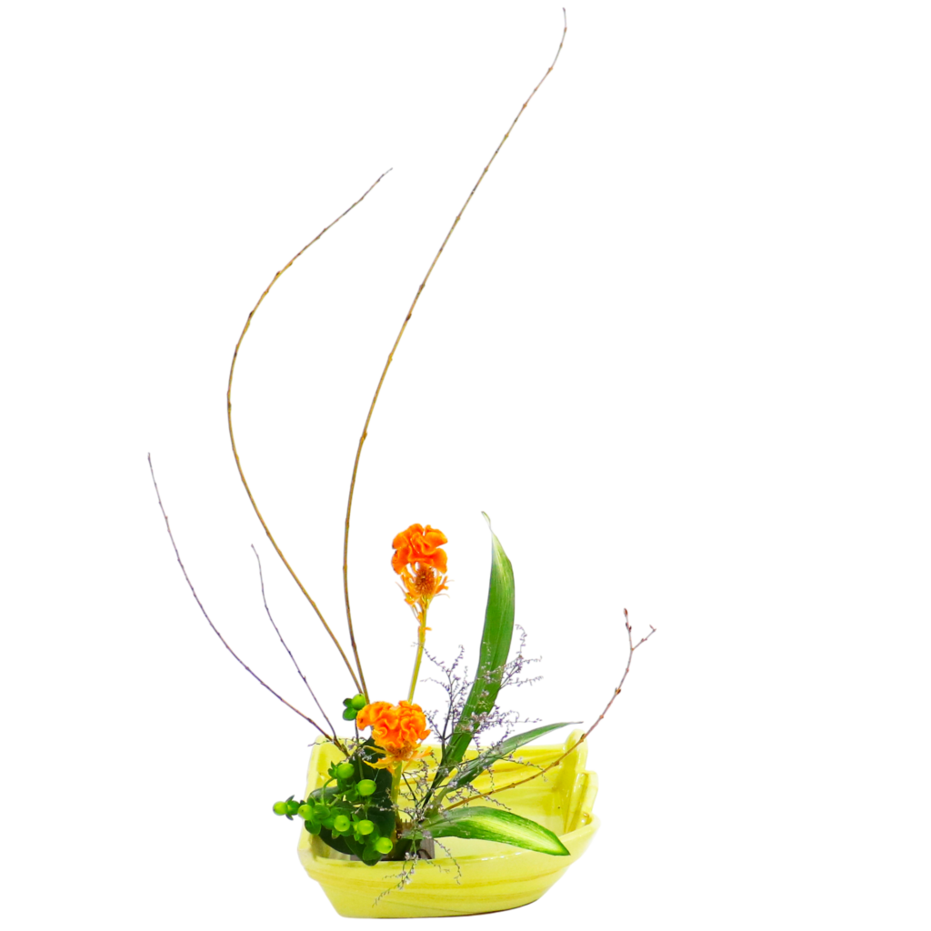 Z.水盤スタンダードコース [2025年12月 - 2回目]