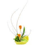 Z.水盤スタンダードコース [2025年12月 - 2回目]