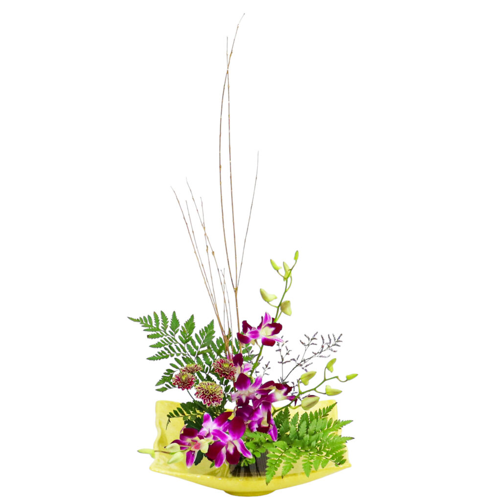 C.水盤スターターコース [2025年12月 - 3回目]