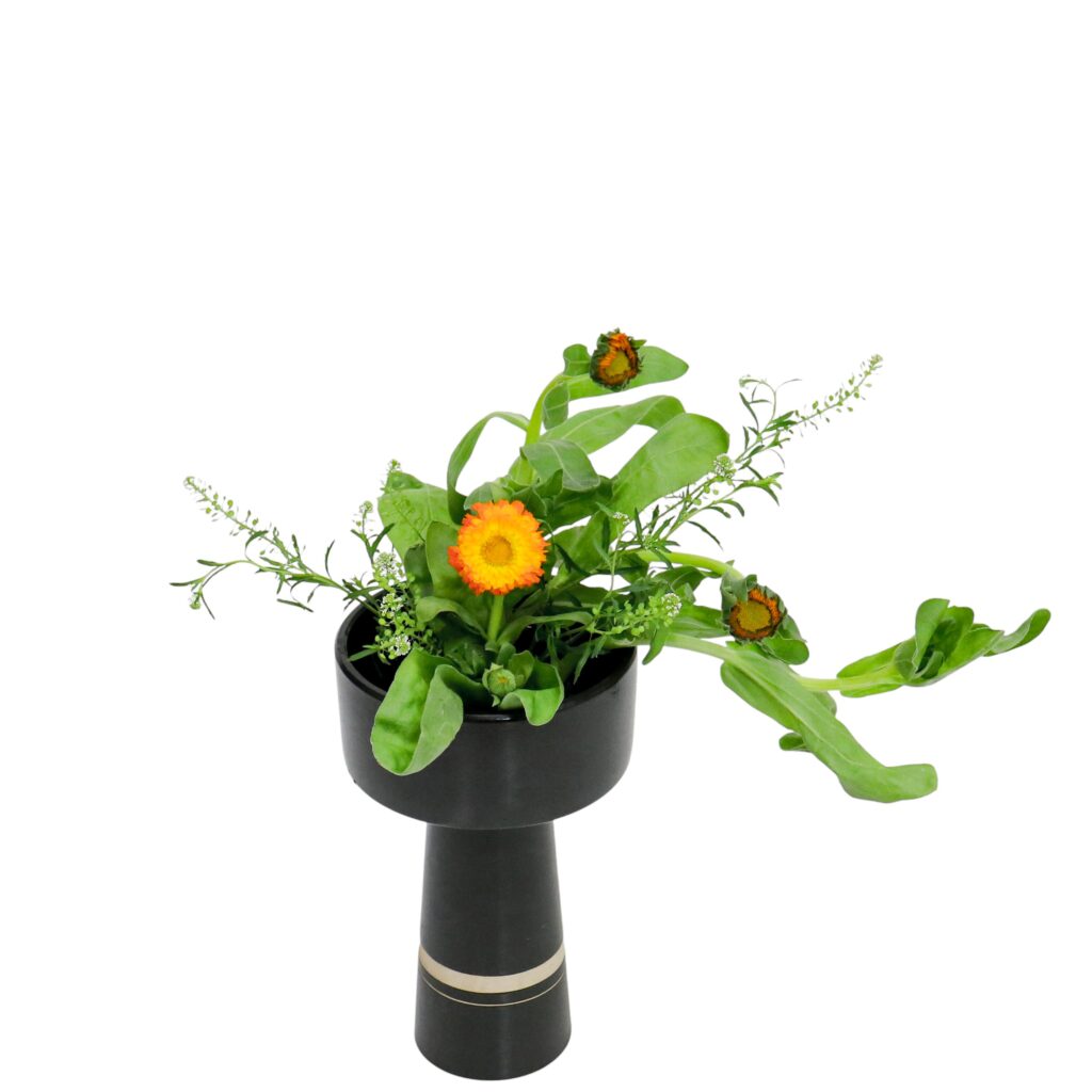 S.プラスONE 切り花S [2025年12月 - 3回目]