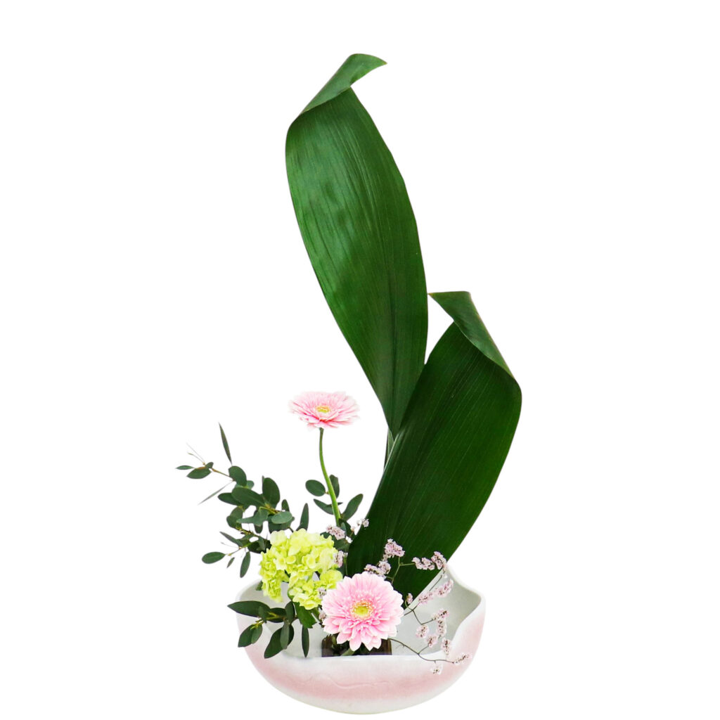 Z.水盤スタンダードコース [2025年12月 - 3回目]