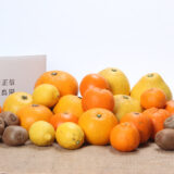 2026年 迎春特別企画_福岡正信自然農園