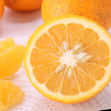 2026年 さんらいふ生活１月号