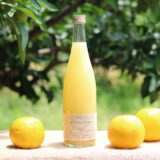 2026年 迎春特別企画_福岡正信自然農園