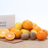 2026年 迎春特別企画_福岡正信自然農園