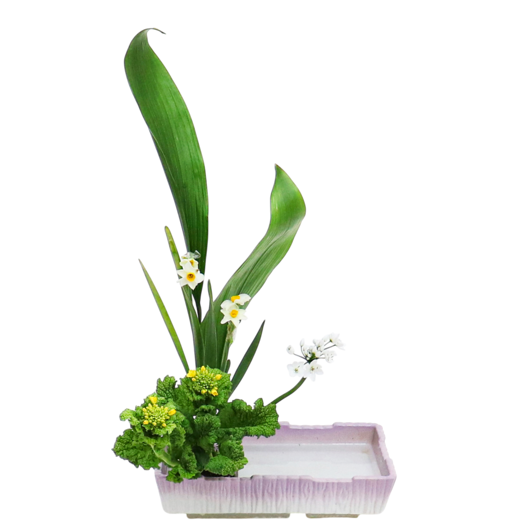 A.花瓶・水盤バラエティーコース [2026年1月 - 1回目]