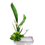 A.花瓶・水盤バラエティーコース [2026年1月 - 1回目]