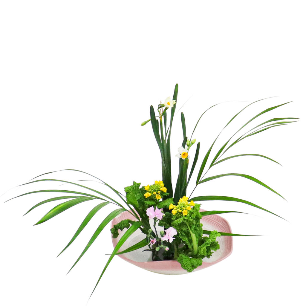 A.花瓶・水盤バラエティーコース [2026年1月 - 1回目]