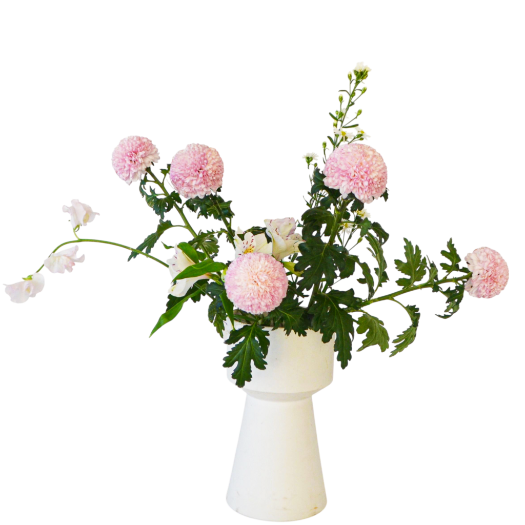 B.花瓶スターターコース [2026年1月 - 1回目]