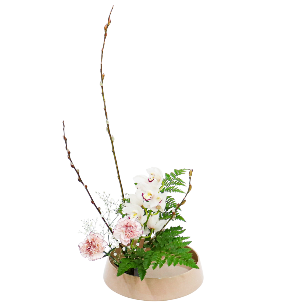 C.水盤スターターコース [2026年1月 - 1回目]