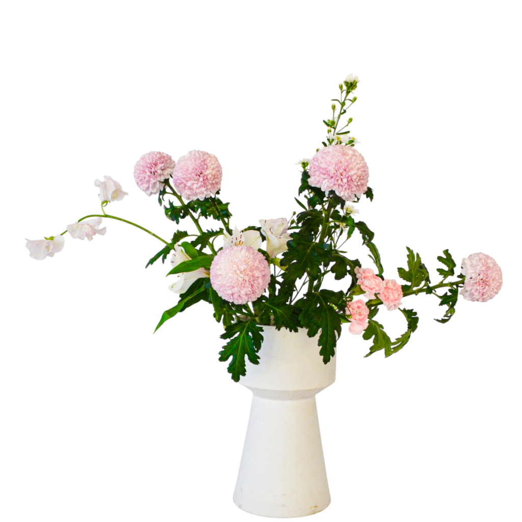 H.花瓶スタータープラスコース [2026年1月 - 1回目]