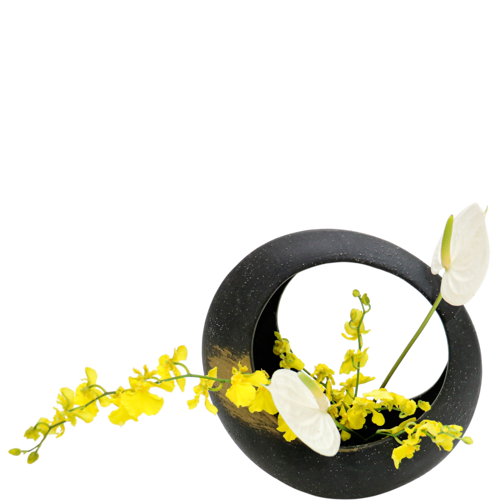 S.プラスONE 切り花S [2026年1月 - 1回目]