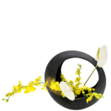 S.プラスONE 切り花S [2026年1月 - 1回目]