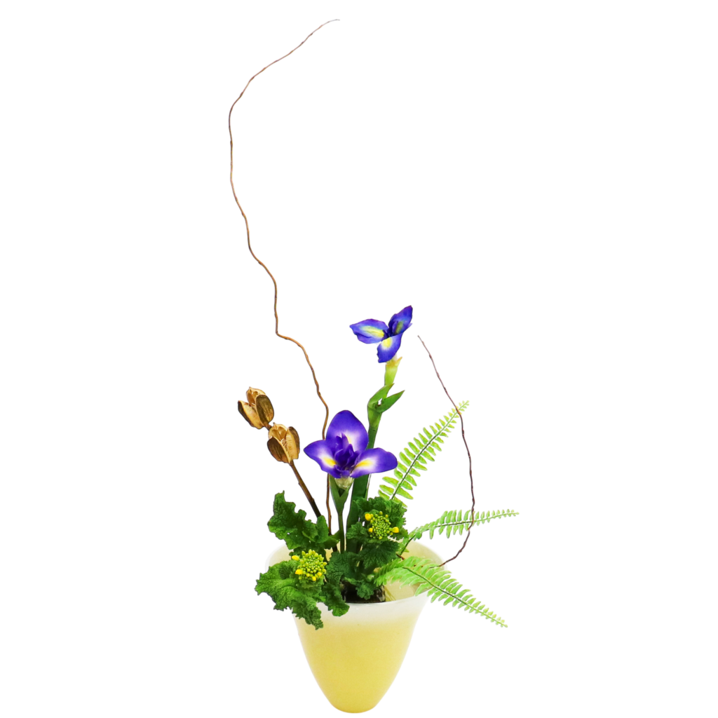 Z.水盤スタンダードコース [2026年1月 - 1回目]