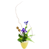 Z.水盤スタンダードコース [2026年1月 - 1回目]