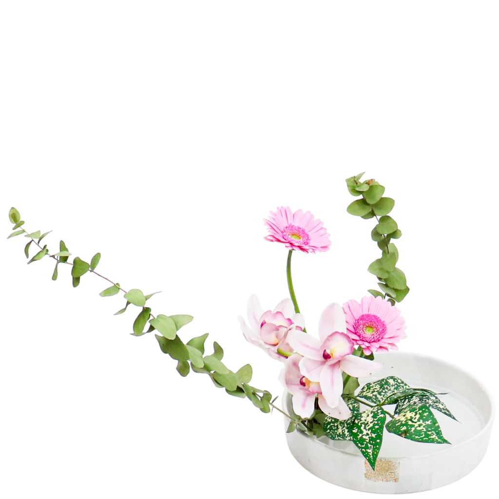 A.花瓶・水盤バラエティーコース [2026年1月 - 2回目]