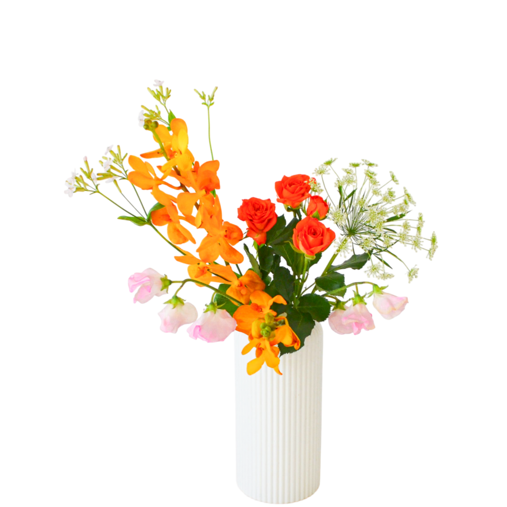 B.花瓶スターターコース [2026年1月 - 2回目]