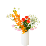 B.花瓶スターターコース [2026年1月 - 2回目]