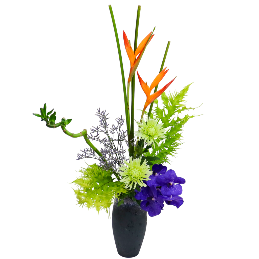 D.花瓶プレミアムコース [2026年1月 - 2回目]