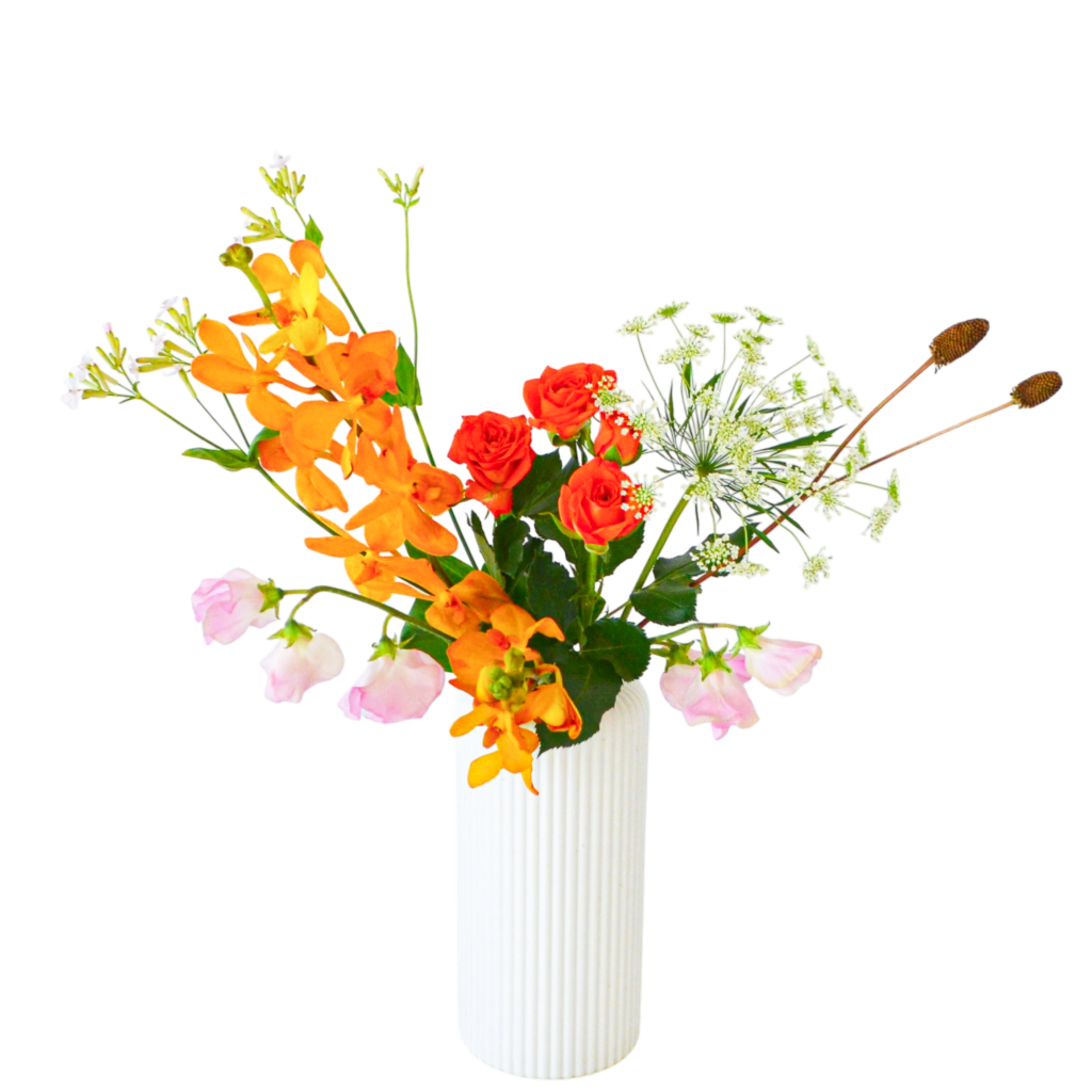 H.花瓶スタータープラスコース [2026年1月 - 2回目]