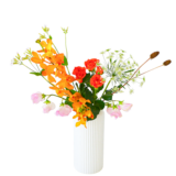 H.花瓶スタータープラスコース [2026年1月 - 2回目]