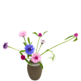 S.プラスONE 切り花S [2026年1月 - 2回目]