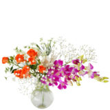 F.花瓶・水盤スターターコース [2026年1月 - 3回目]